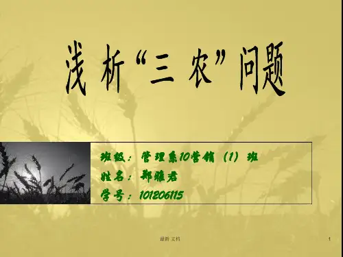稿件三农问题浅析.ppt