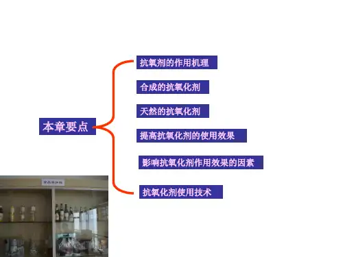 食品抗氧化剂ppt课件.ppt