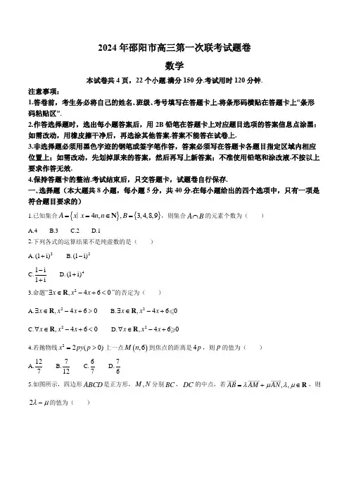 湖南省邵阳市2024届高三第一次联考(邵阳一模)数学含答案