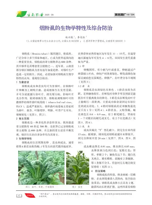 烟粉虱的生物学特性及综合防治
