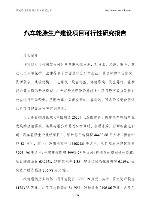 汽车轮胎生产建设项目可行性研究报告