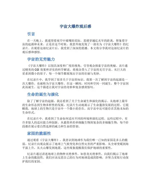 宇宙大爆炸观后感