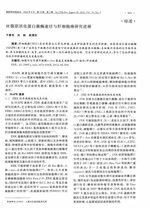 丝裂原活化蛋白激酶途径与肝细胞癌研究进展