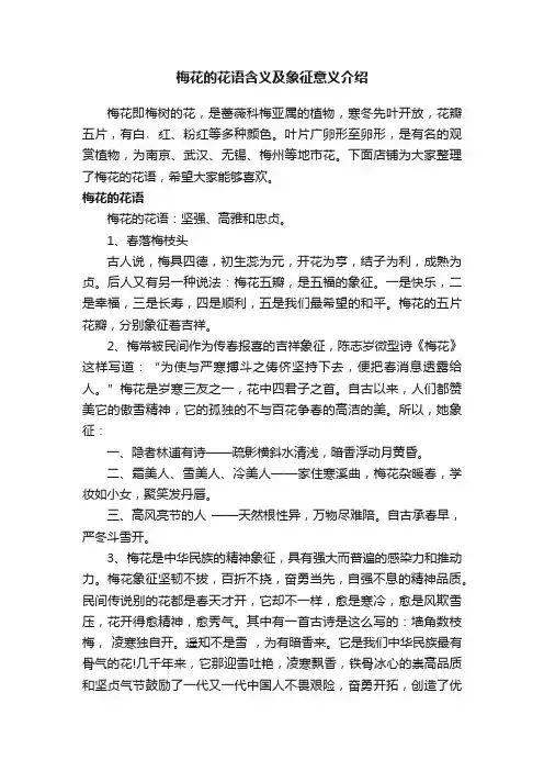 梅花的花语含义及象征意义介绍