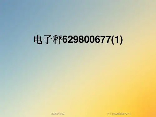 电子秤629800677(1)