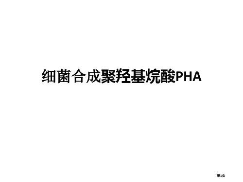 生物合成PHA主题知识讲座公开课一等奖优质课大赛微课获奖课件