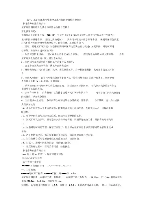 尾矿库自查报告