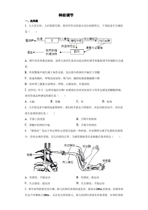 浙江省中考科学专题练习 ：神经调节(word版 含解析)