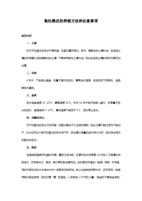 勒杜鹃花的养殖方法和注意事项