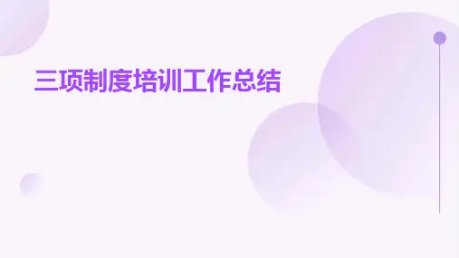 三项制度培训工作总结PPT