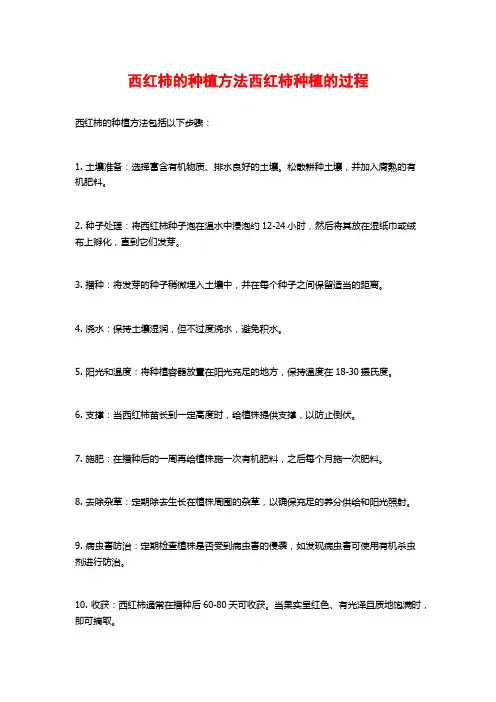 西红柿的种植方法西红柿种植的过程