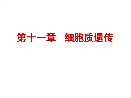 遗传学细胞质遗传