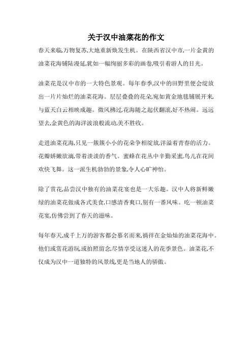 关于汉中油菜花的作文