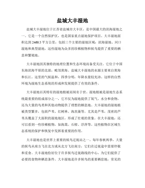 盐城大丰湿地