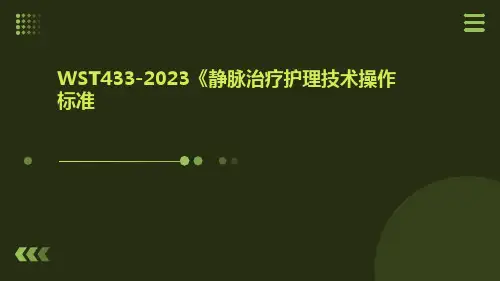 2023《静脉治疗护理技术操作标准》ppt课件