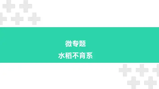 热点专题13+水稻不育系-【热点必看】2023年高考生物临考热点梳理解读精讲课件