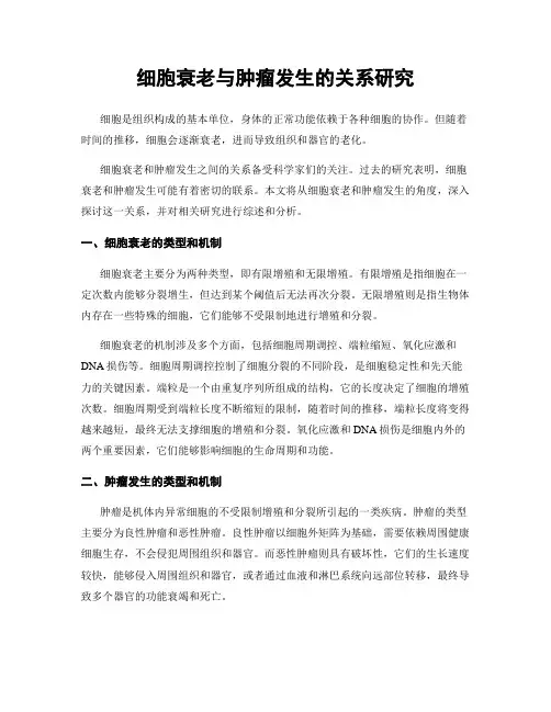 细胞衰老与肿瘤发生的关系研究