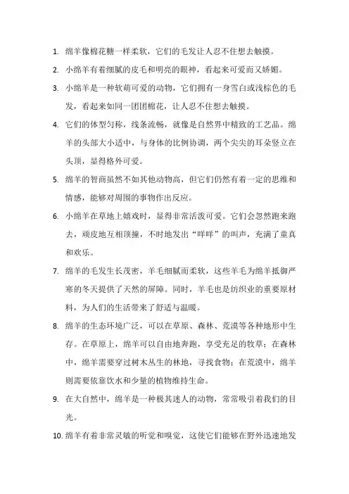 描写绵羊的优美句子