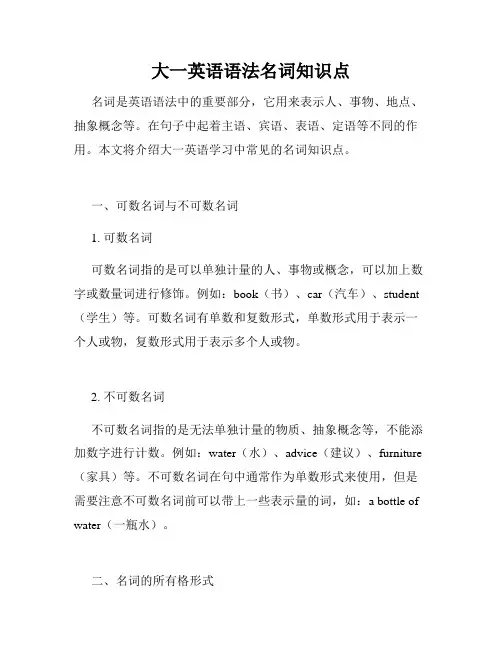 大一英语语法名词知识点