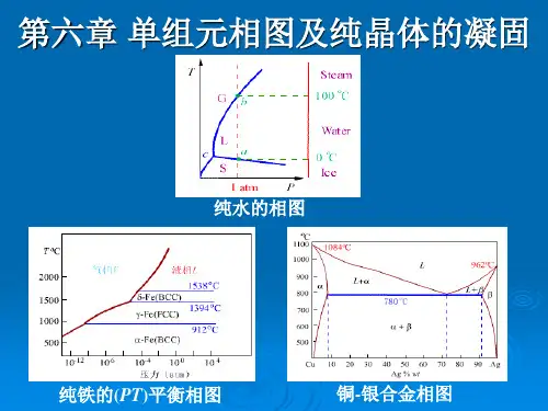 第六章单组元相图及纯晶体的凝固