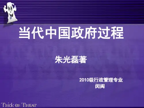 当代中国政府过程