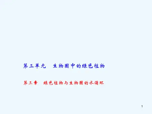 中考生物第三章绿色植物与生物圈的水循环复习课件