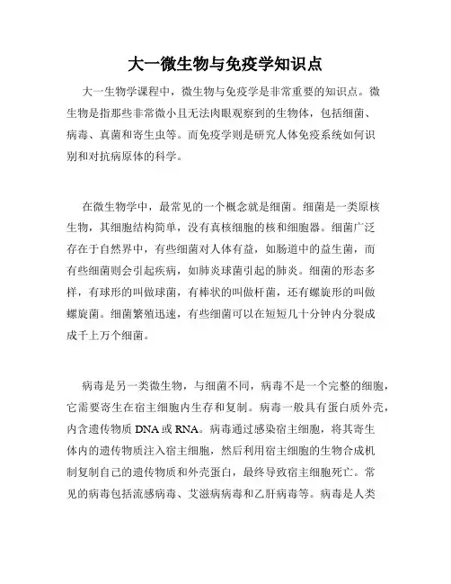 大一微生物与免疫学知识点