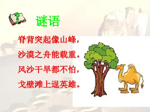 三年级语文上册16.找骆驼PPT课件