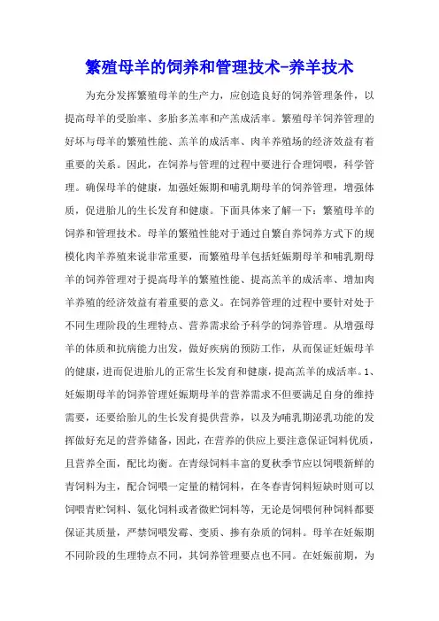 繁殖母羊的饲养和管理技术 - 养羊技术