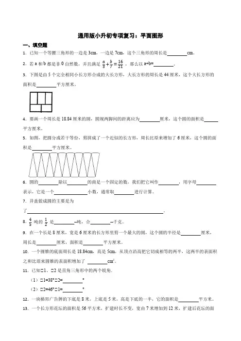 小升初专项复习：平面图形(试题)-六年级下册数学通用版