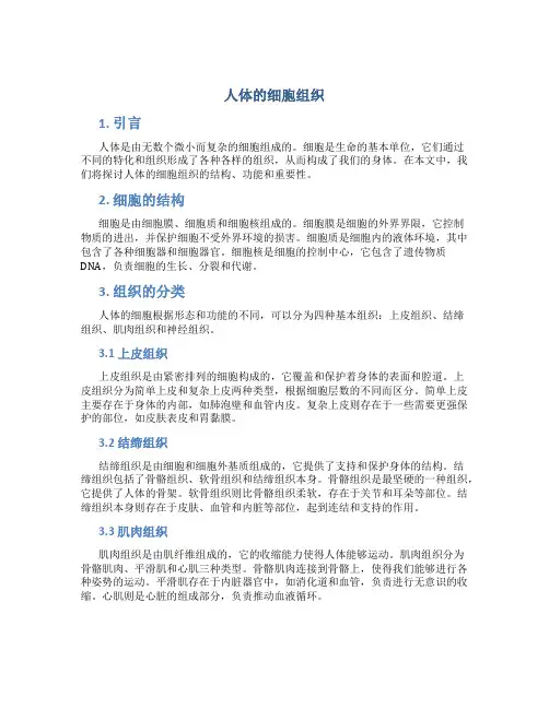  人体的细胞组织