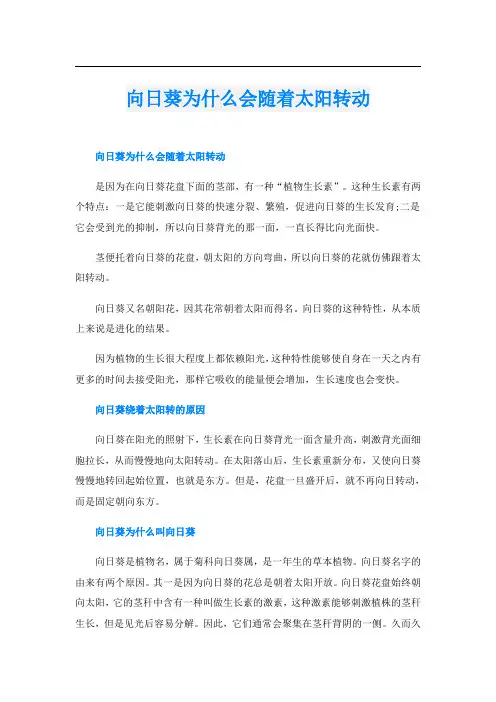 向日葵为什么会随着太阳转动