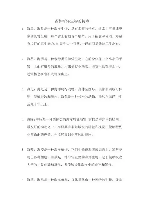 各种海洋生物的特点
