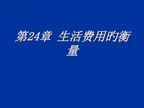 章生活费用的衡量
