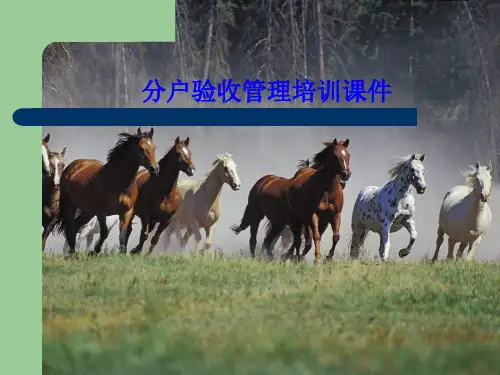 住宅工程分户验收管理培训讲义156页