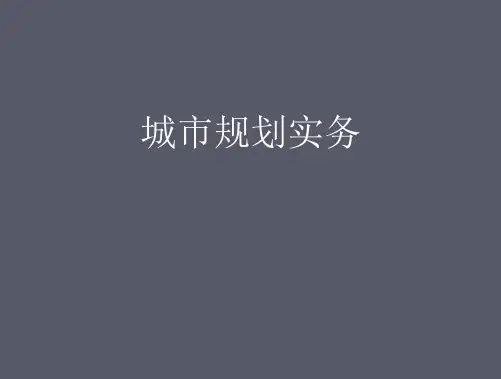 城市规划课件：6城市规划实务