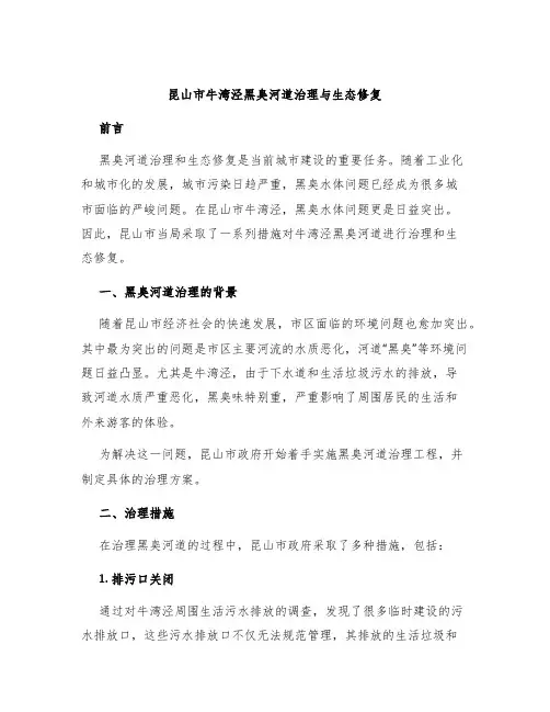 昆山市牛湾泾黑臭河道治理与生态修复x