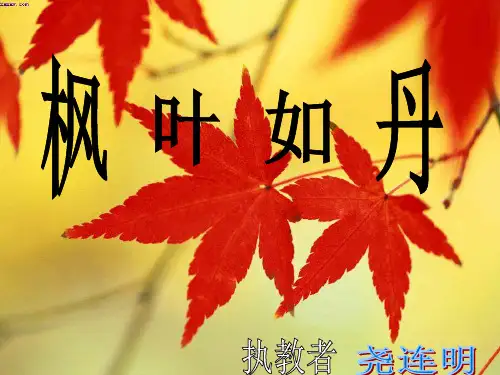 枫叶如丹4课件.ppt