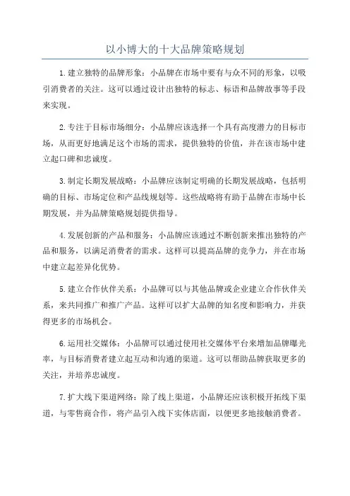 以小博大的十大品牌策略规划