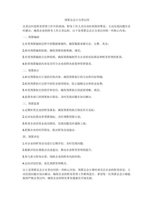 预算总会计自查自纠