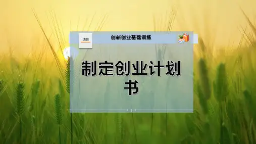 制定创业计划书-PPT模板