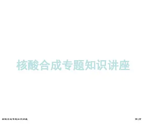 核酸合成专题知识讲座