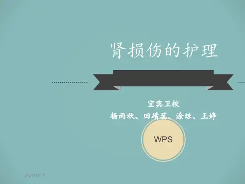 肾损伤的护理 ppt课件