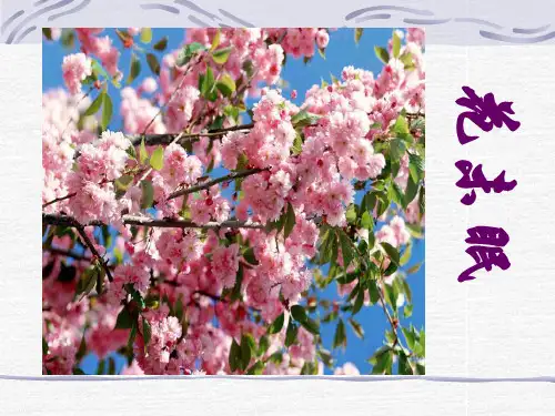《花未眠》ppt课件