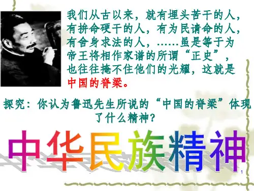 高中政治必修三第七课ppt课件