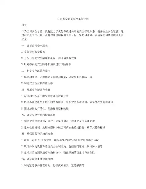 公司安全总监年度工作计划