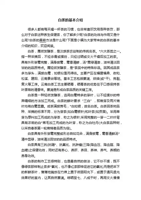白茶的基本介绍