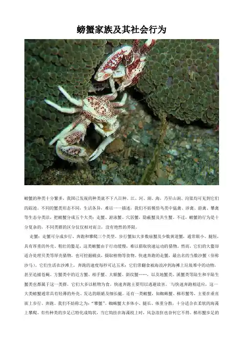 螃蟹家族及其社会行为