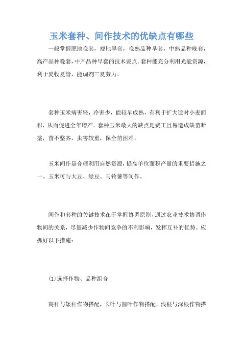 玉米套种、间作技术的优缺点有哪些