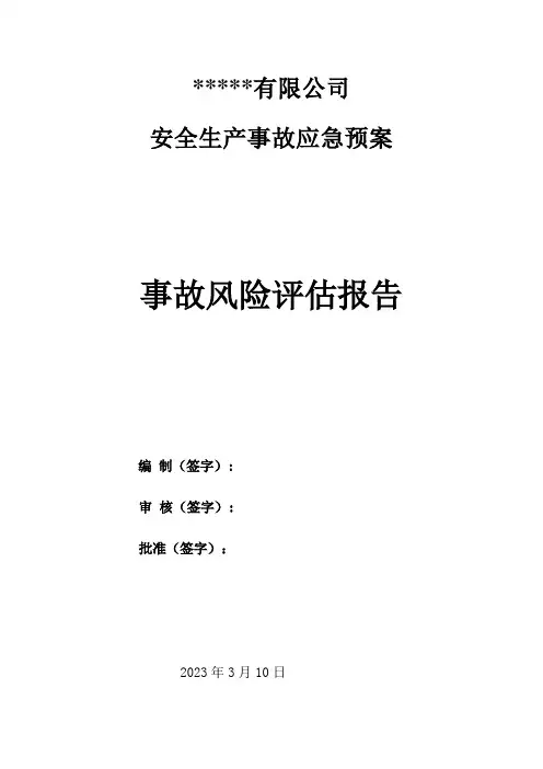 应急预案事故风险评估报告(模板)
